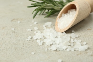 Sea salt in wooden scoop and rosemary on grey table, closeup