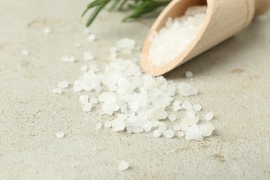 Sea salt in wooden scoop and rosemary on grey table, closeup