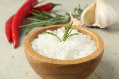 Sea salt in bowl, rosemary, chili peppers and garlic on grey table, closeup