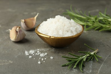 Sea salt in bowl, rosemary and garlic on grey table, closeup