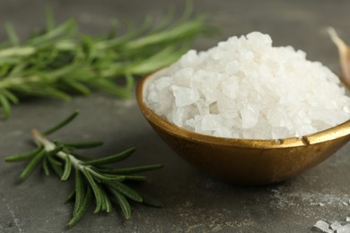 Sea salt in bowl and rosemary on grey table, closeup