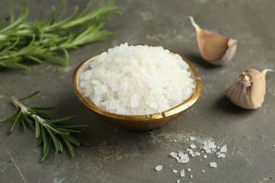 Sea salt in bowl, rosemary and garlic on grey table, closeup