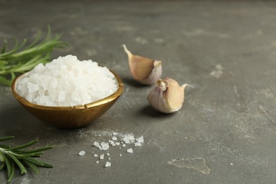 Photo of Sea salt in bowl, rosemary and garlic on grey table, closeup