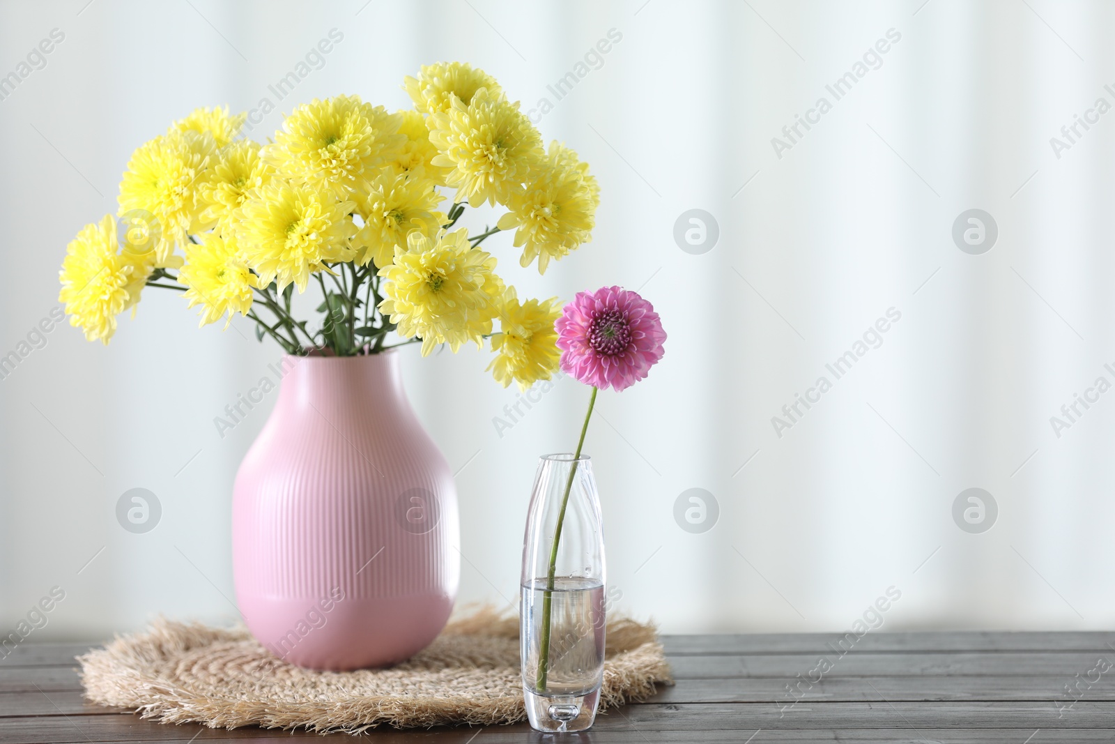 Photo of Beautiful yellow flowers in vases on wooden table at home. Space for text