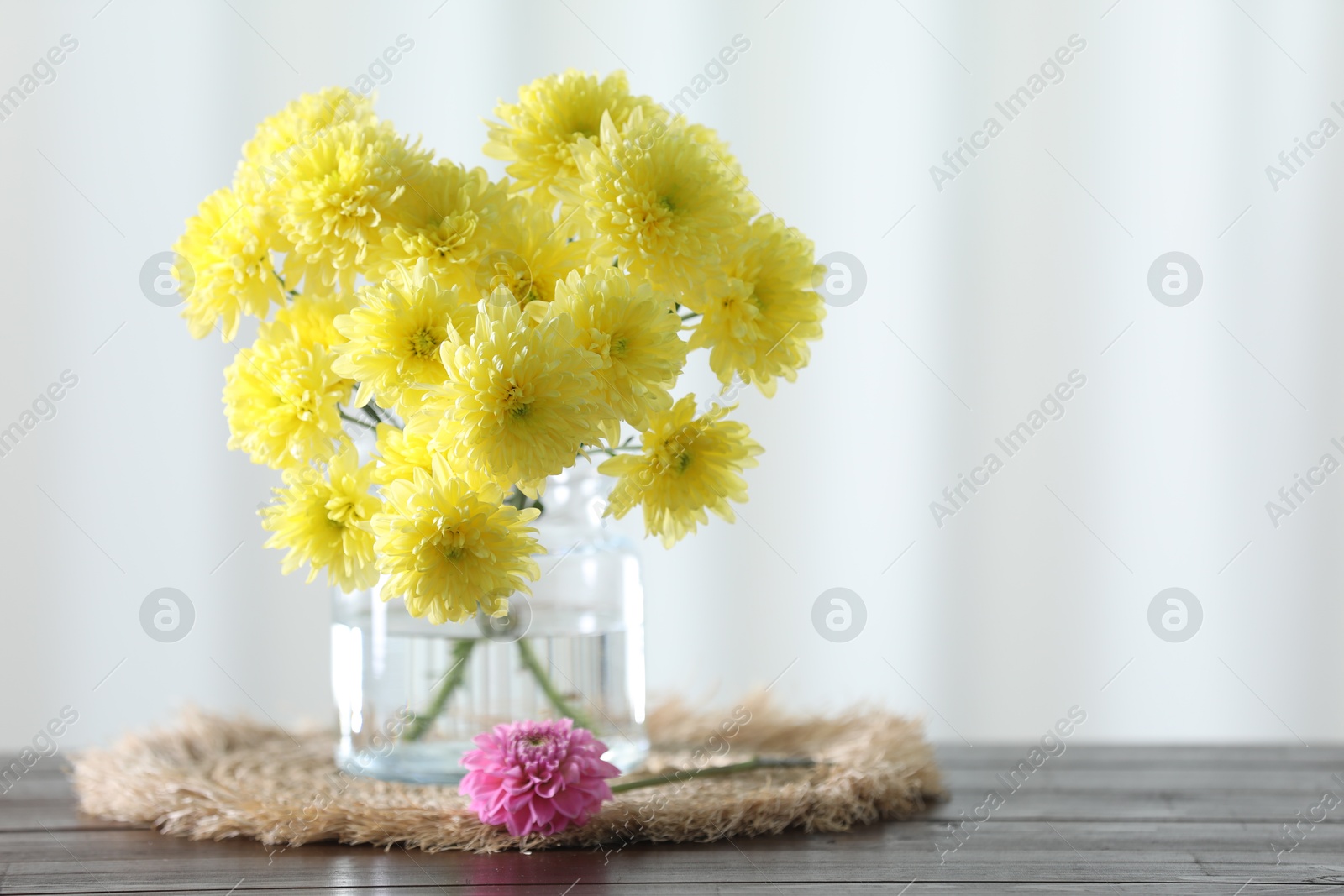 Photo of Beautiful yellow flowers in vase on wooden table at home. Space for text