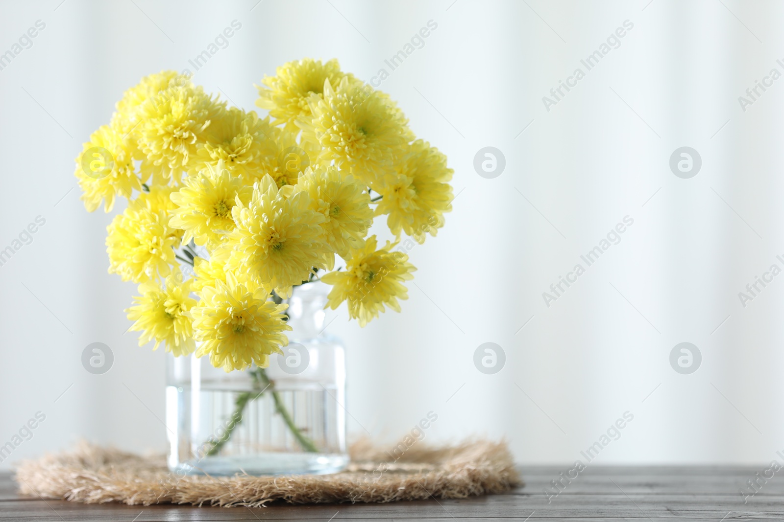 Photo of Beautiful yellow flowers in vase on wooden table at home. Space for text