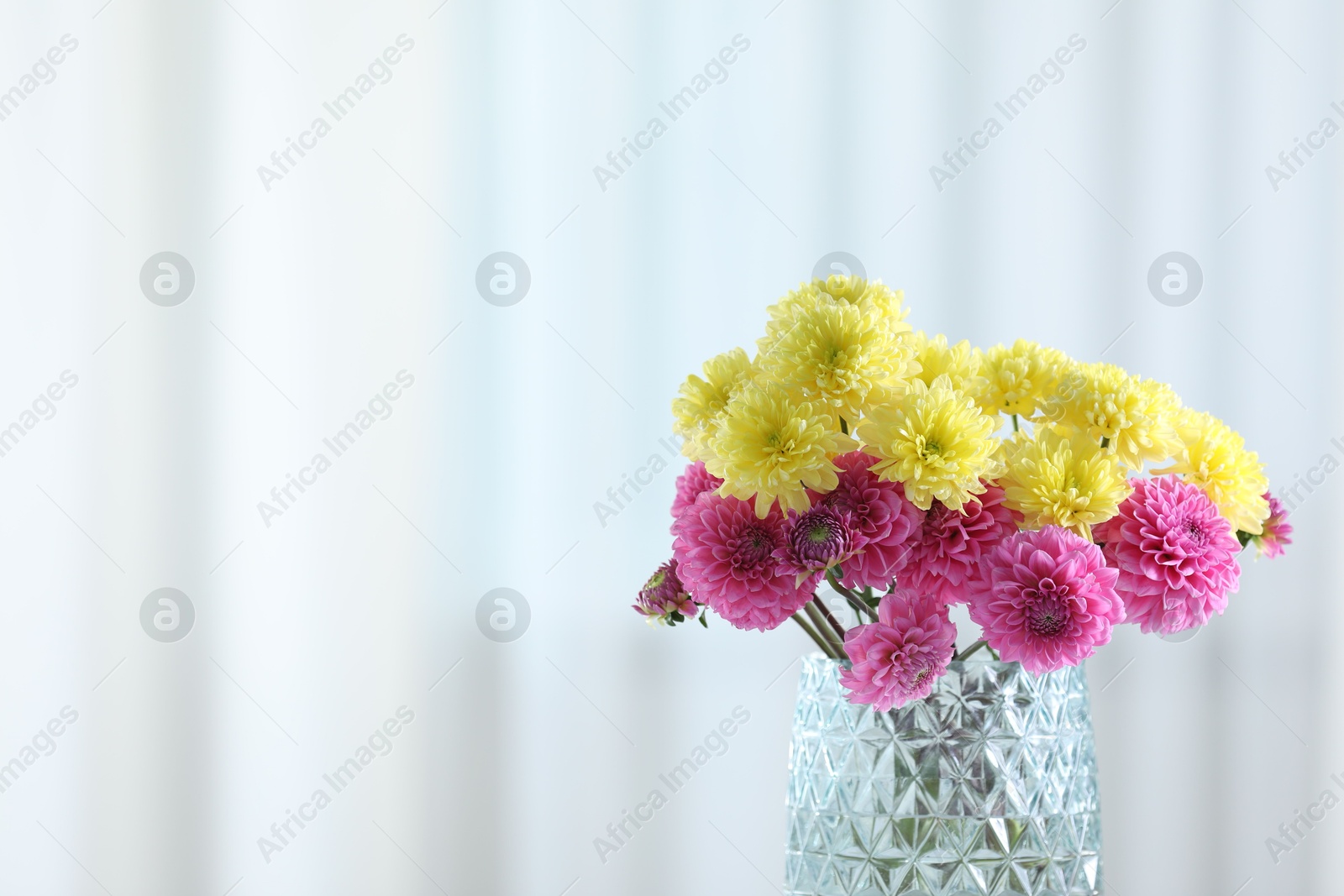 Photo of Beautiful yellow and pink flowers in vase against light background, closeup. Space for text