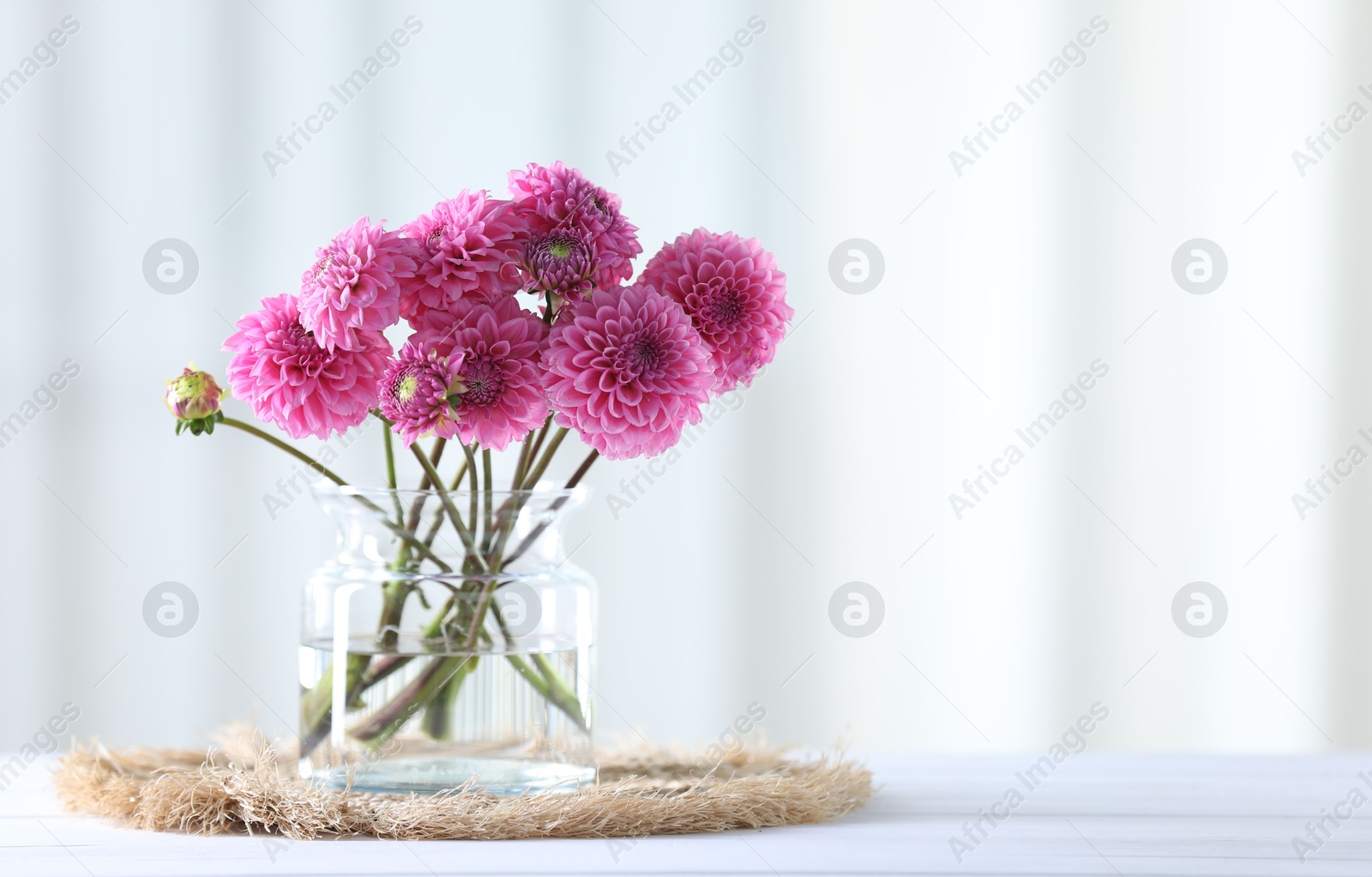 Photo of Beautiful pink flowers in vase on white wooden table at home. Space for text