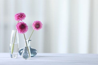 Photo of Beautiful pink flowers in vases on white wooden table at home. Space for text