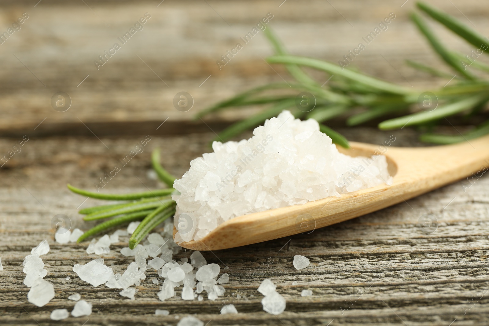 Photo of Sea salt in spoon and rosemary on wooden table, closeup