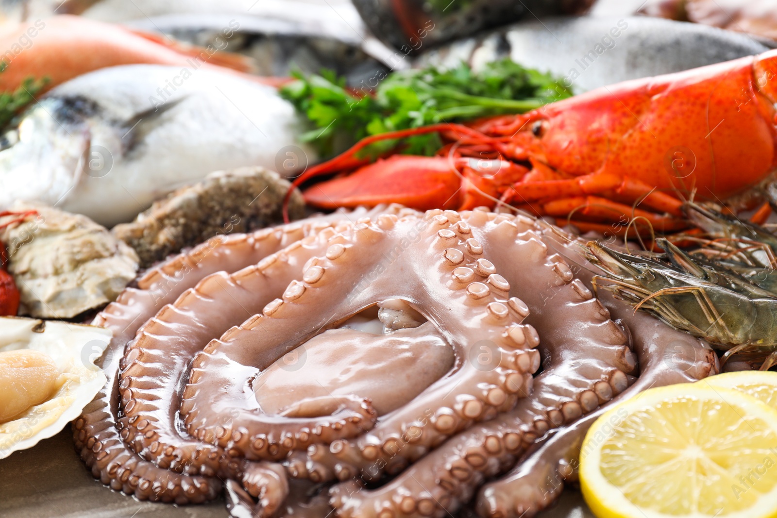 Photo of Many different sea food and lemon on table, closeup