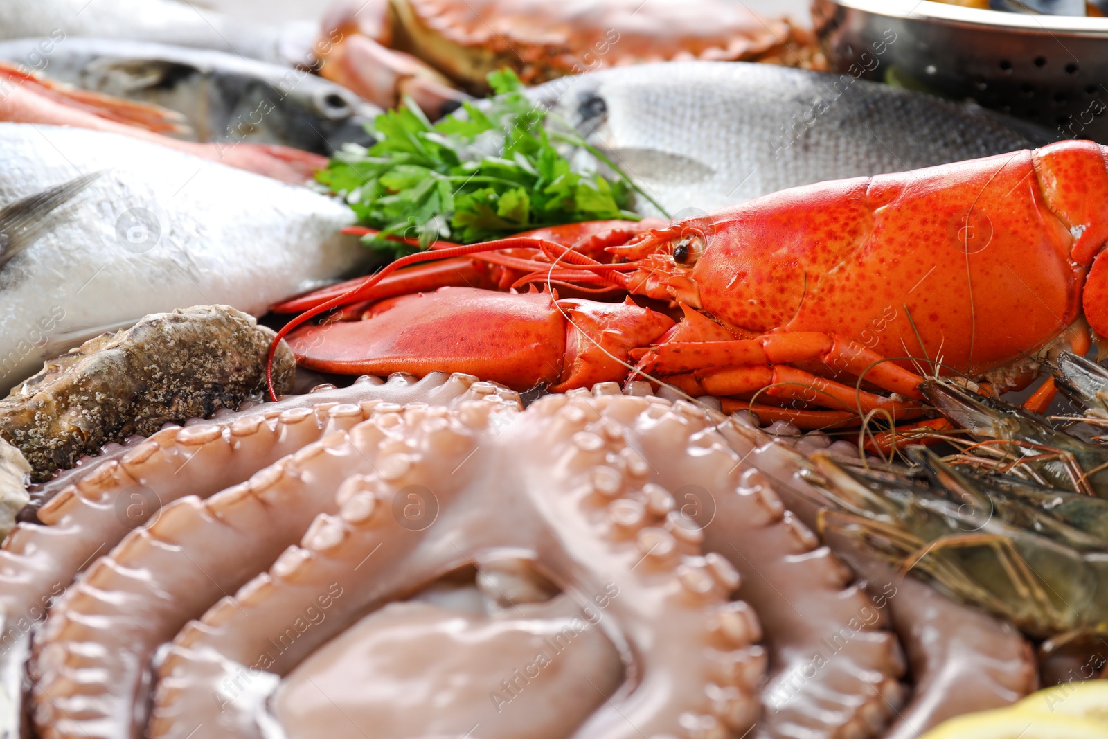 Photo of Many different sea food and parsley on table, closeup