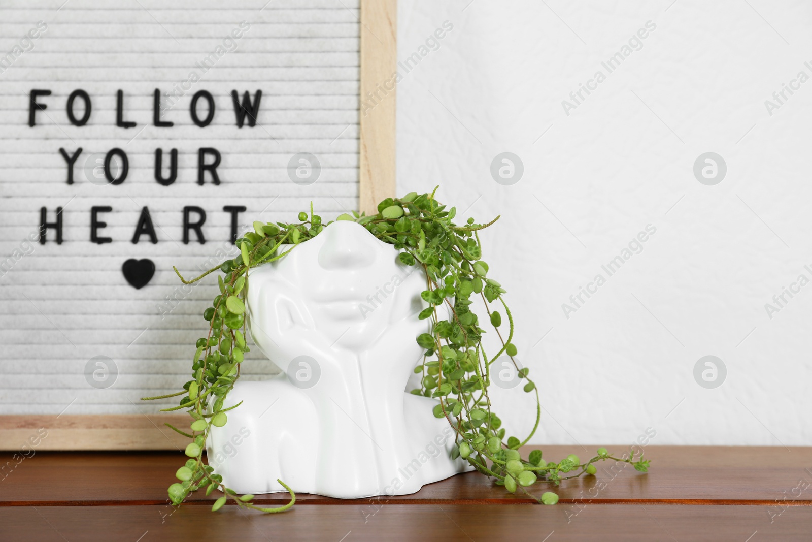 Photo of Letter board with phrase Follow Your Heart and plant on wooden table