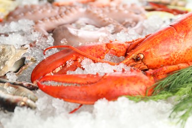 Photo of Fresh raw lobster and different sea food on ice, closeup