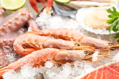 Fresh shrimps and different sea food on ice, closeup