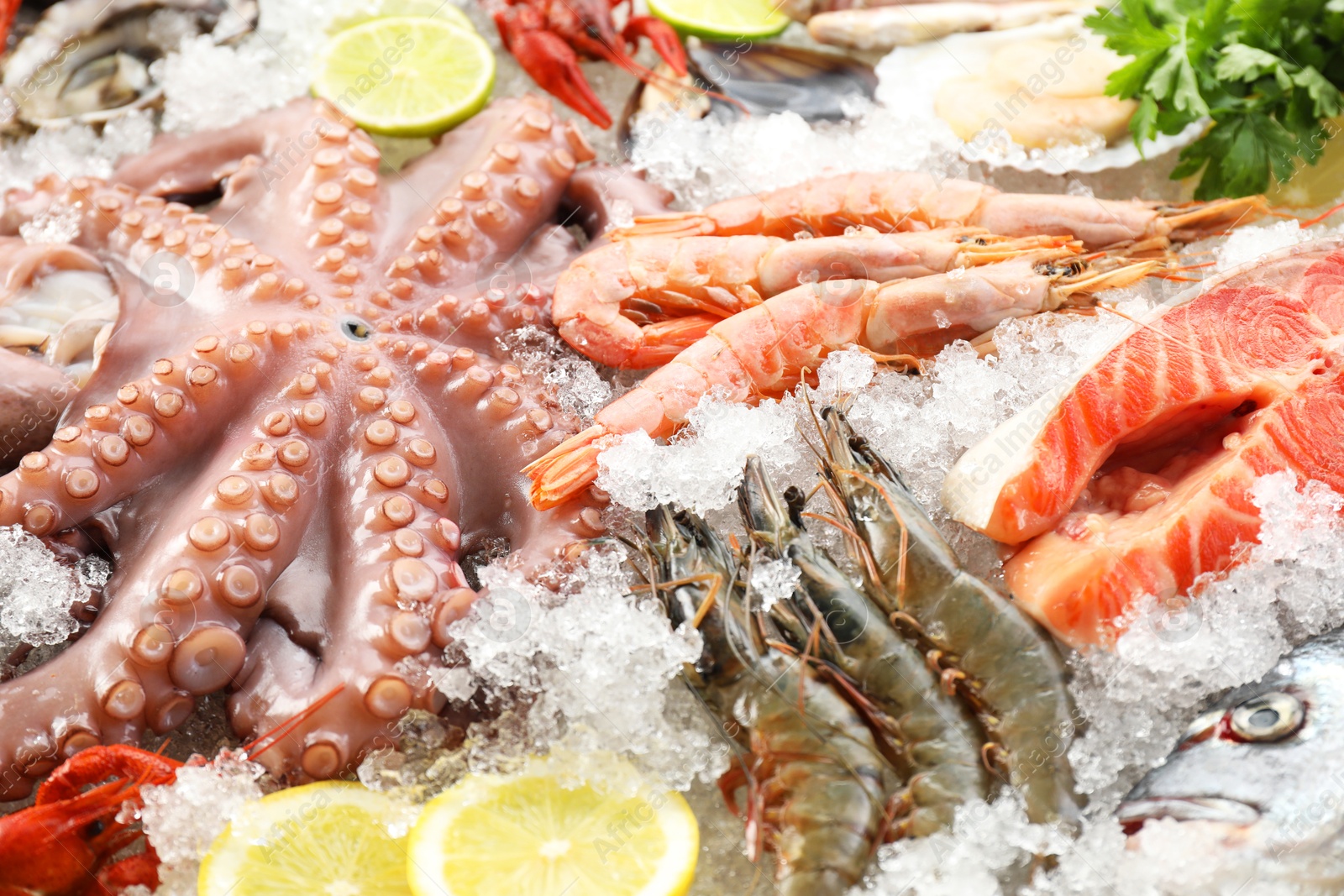 Photo of Whole fresh raw octopus, shrimps and different sea food on ice, closeup