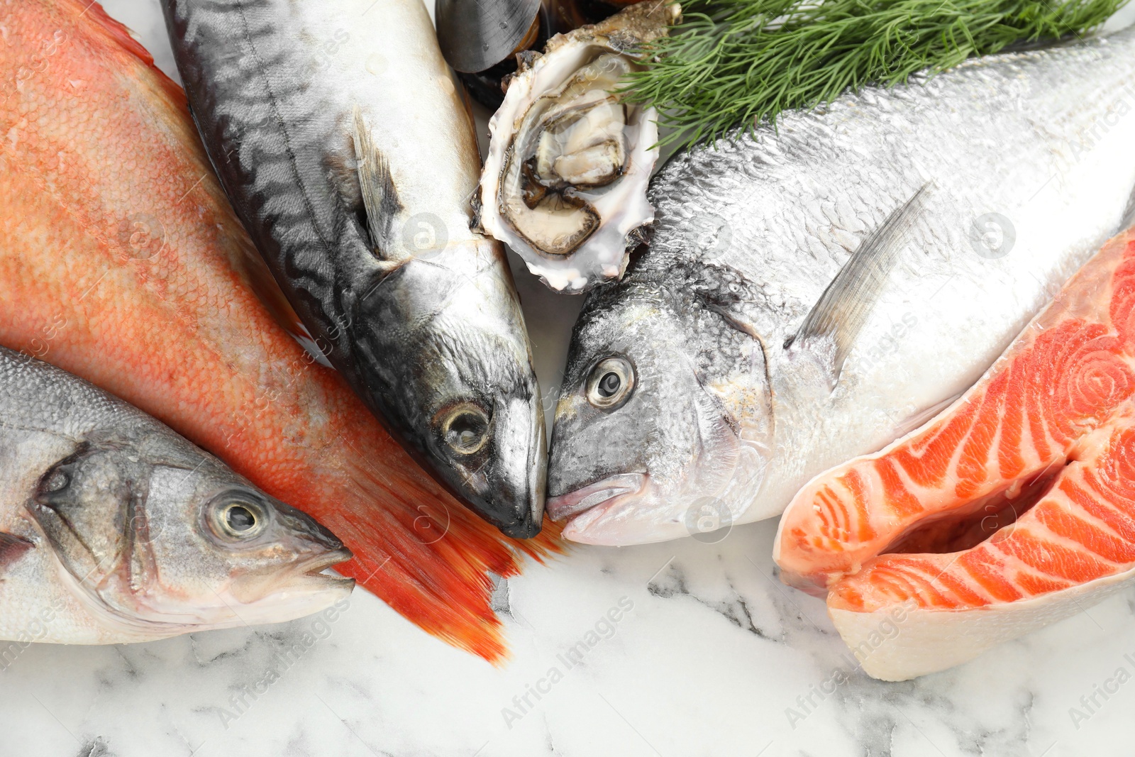 Photo of Different sea food on white table, top view