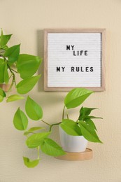 Photo of Letter board with phrase My Life My Rules and plant on beige wall