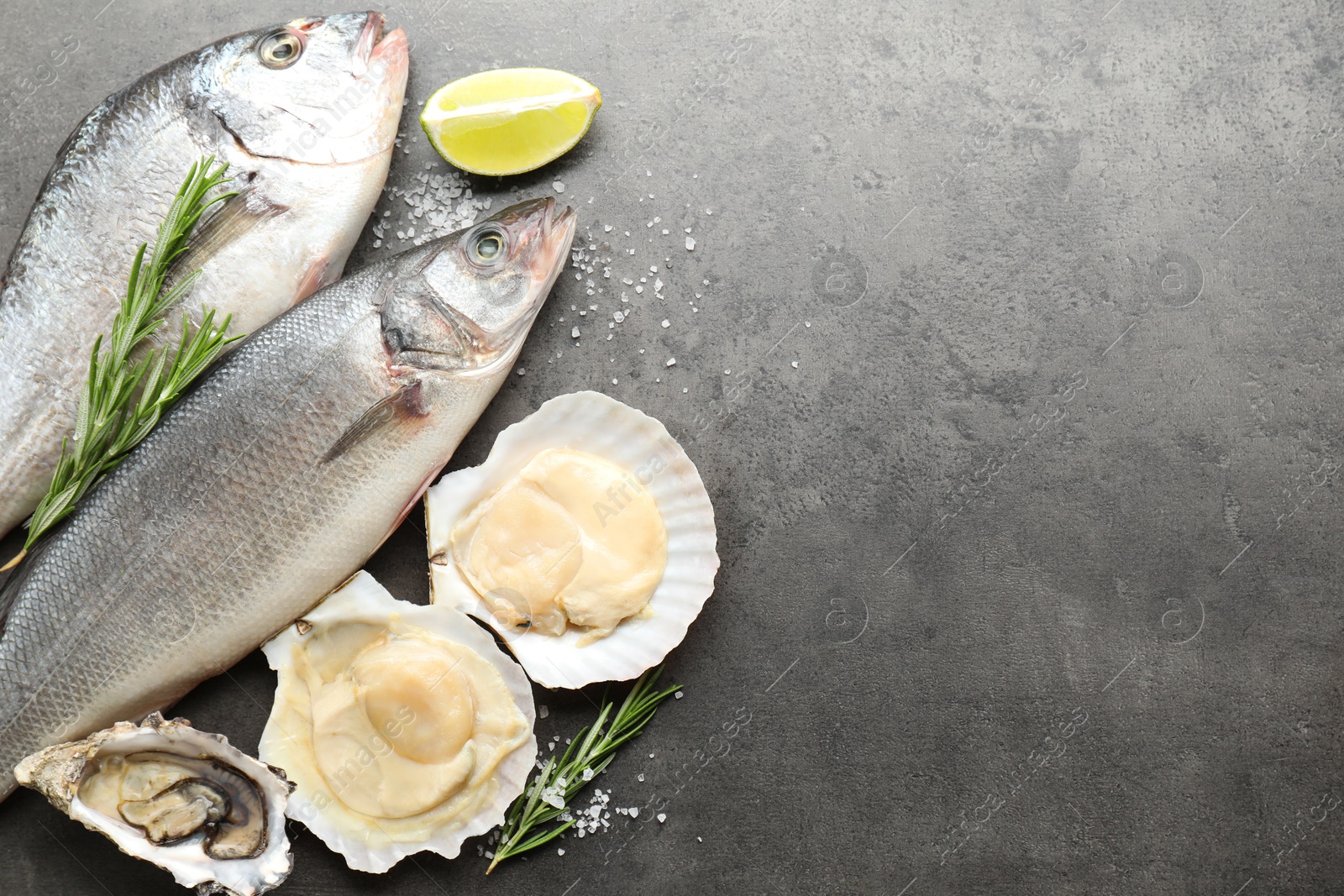 Photo of Different sea food on grey table, flat lay. Space for text