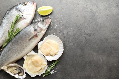 Different sea food on grey table, flat lay. Space for text