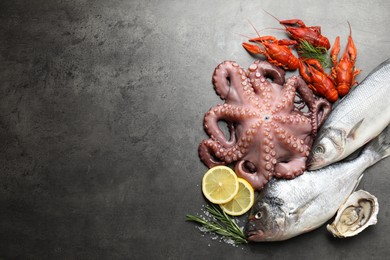 Photo of Different sea food on grey table, flat lay. Space for text