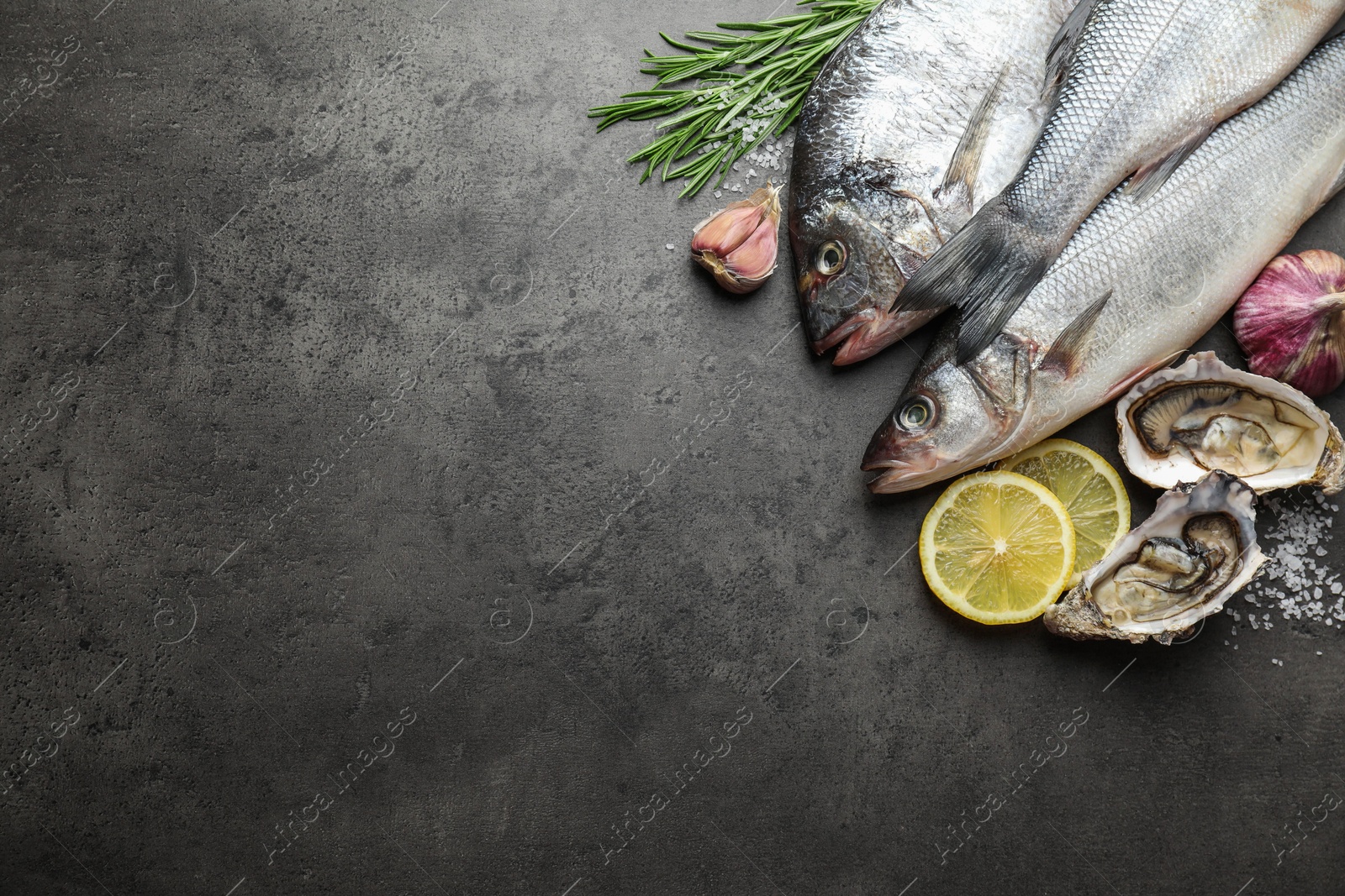 Photo of Fishes and oysters with spices on grey table, top view with space for text. Sea food