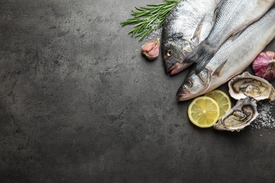 Fishes and oysters with spices on grey table, top view with space for text. Sea food