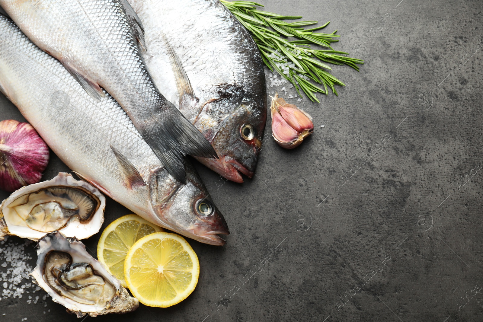 Photo of Fishes and oysters with spices on grey table, top view with space for text. Sea food