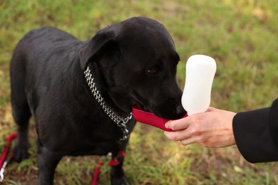 Photo of Owner giving water to her cute Labrador Retriever dog outdoors, closeup