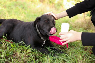 Photo of Owner giving water to her cute Labrador Retriever dog on green grass outdoors, closeup