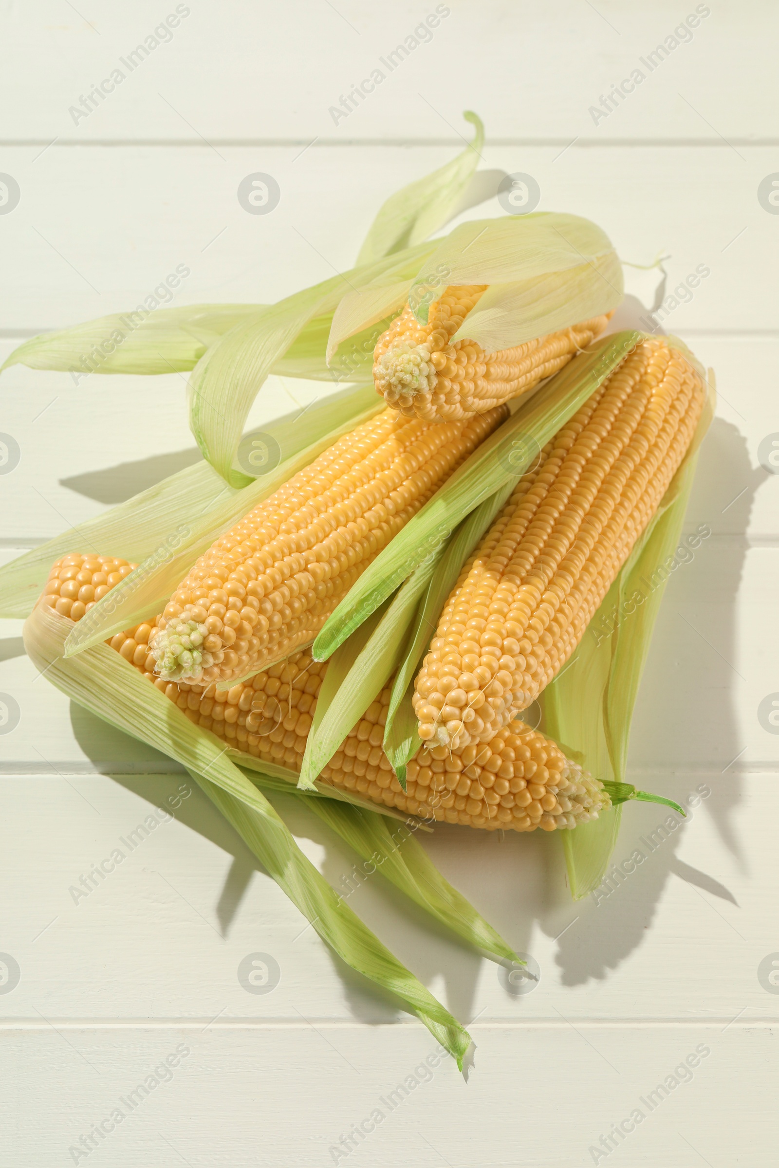 Photo of Many fresh ripe corncobs with green husks on white wooden table, top view