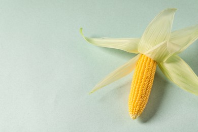 Photo of Fresh ripe corncob with green husks on light background. Space for text