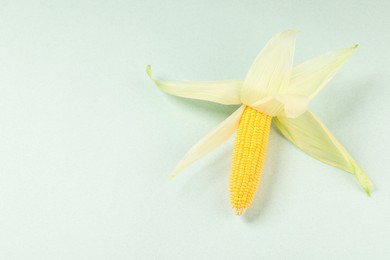 Photo of Fresh ripe corncob with green husks on light background. Space for text