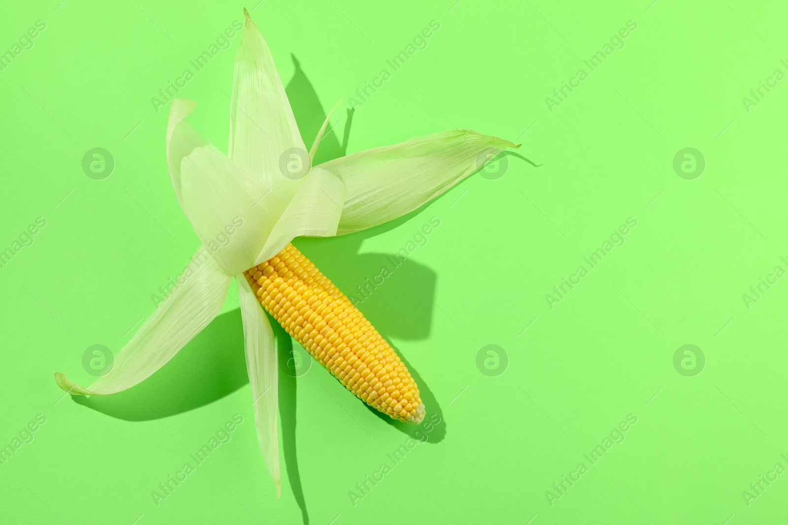 Photo of Fresh ripe corncob with husks on light green background, top view. Space for text