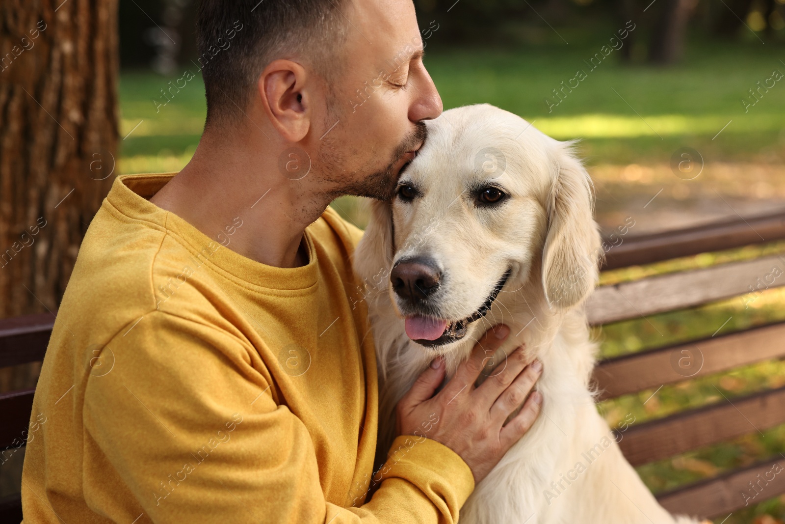 Photo of Man with cute Golden Retriever dog on spring day