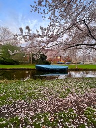 Photo of Picturesque view of canal with moored boat and blossoming tree in spring