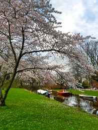 Photo of Picturesque view of canal with moored boats and blossoming trees in spring