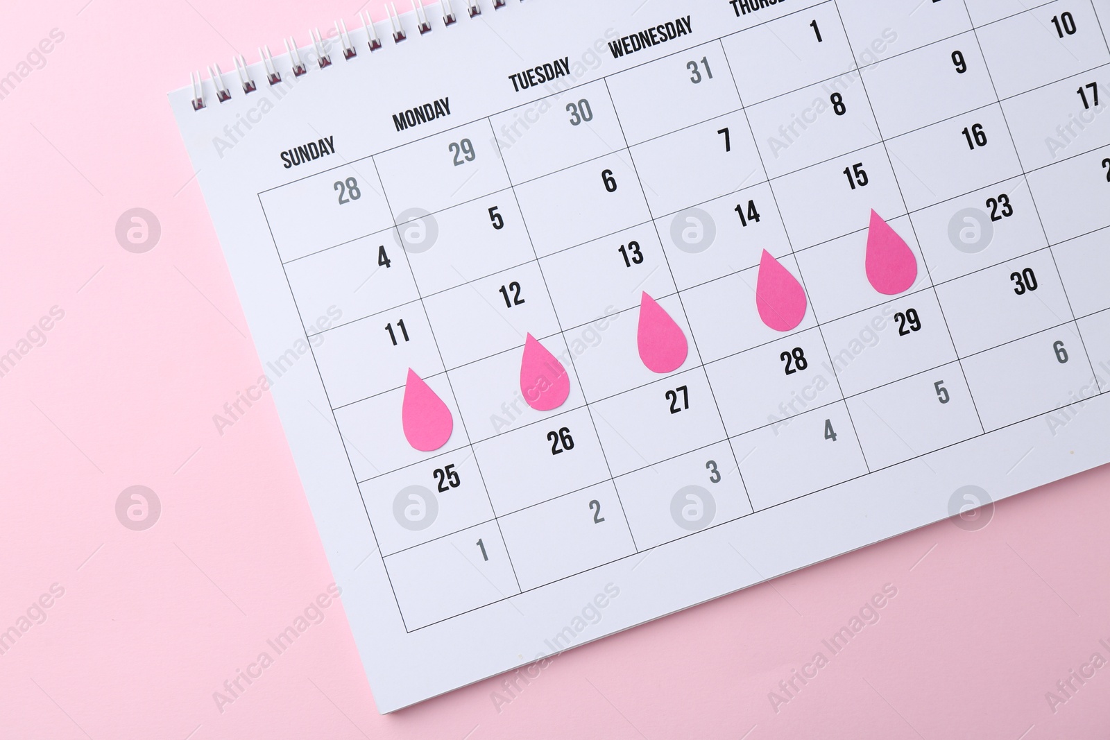 Photo of Menstruation. Calendar with marked dates on pink background, top view