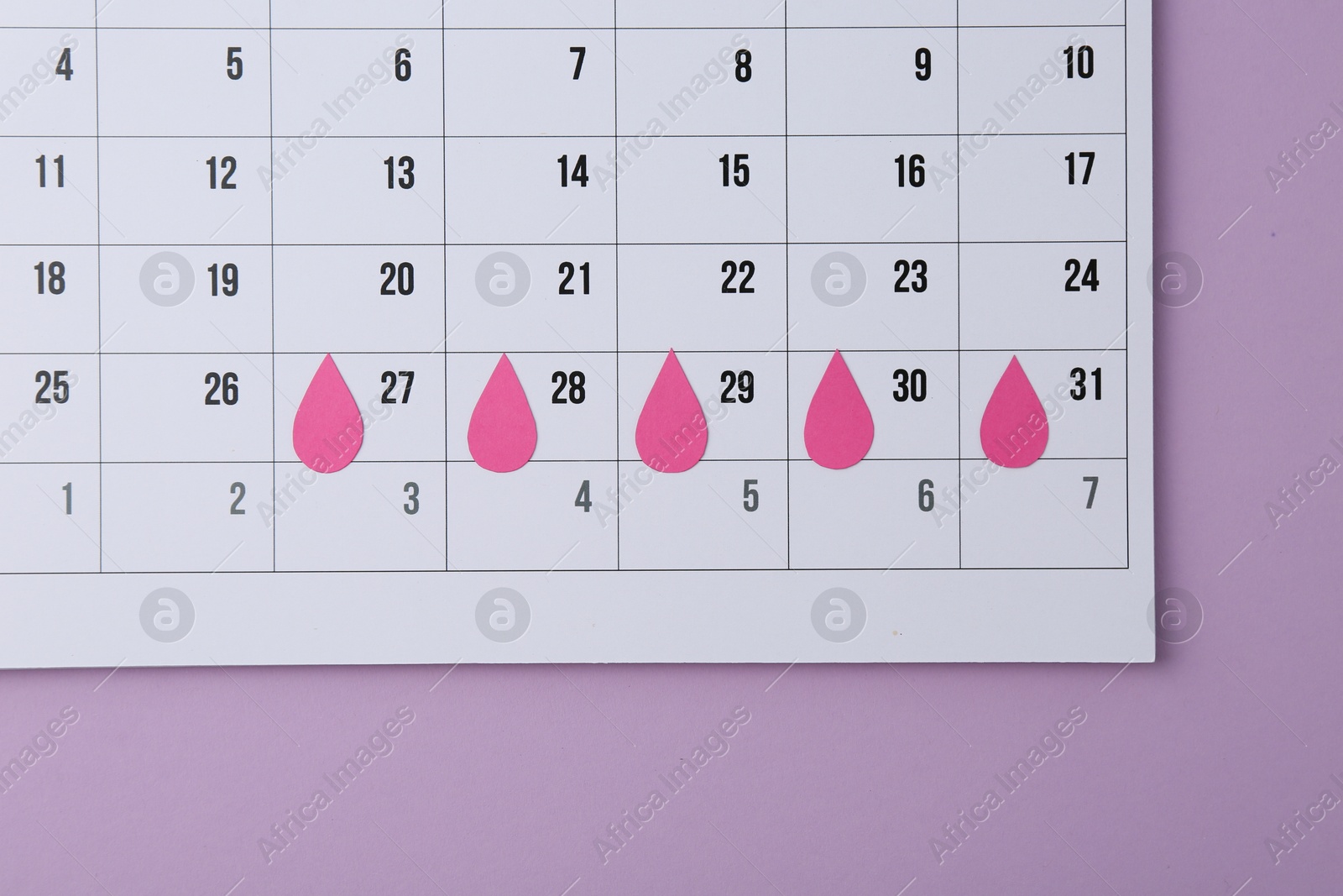 Photo of Menstruation. Calendar with marked dates on violet background, top view