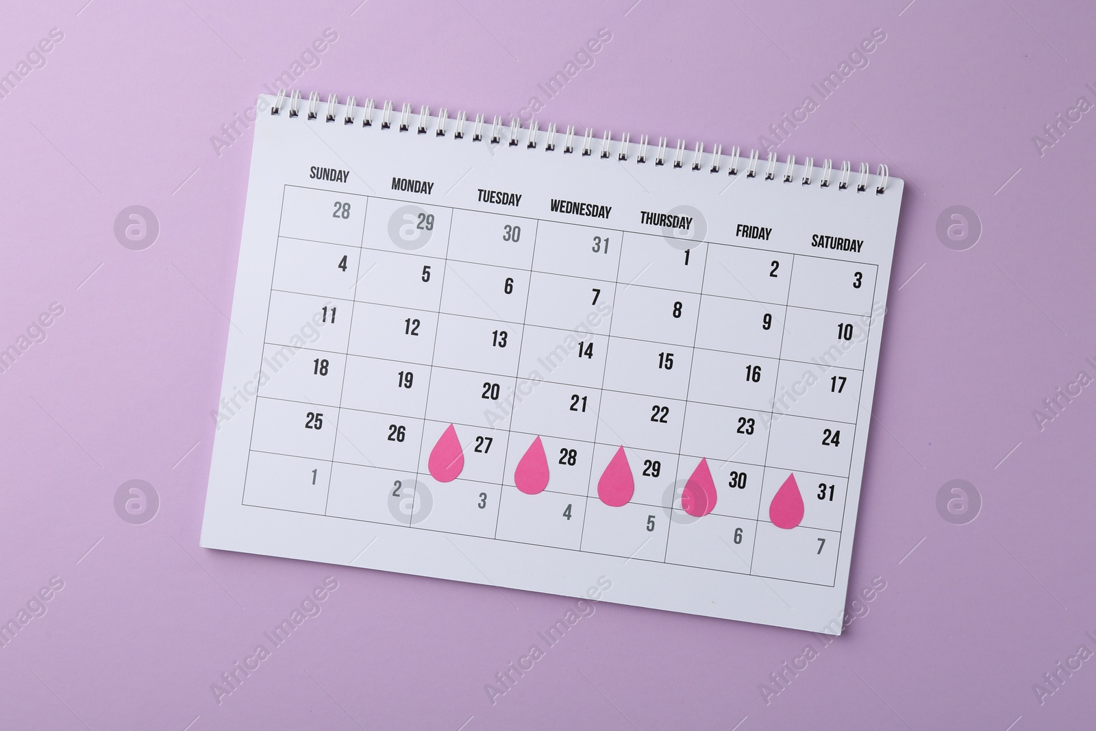 Photo of Menstruation. Calendar with marked dates on violet background, top view