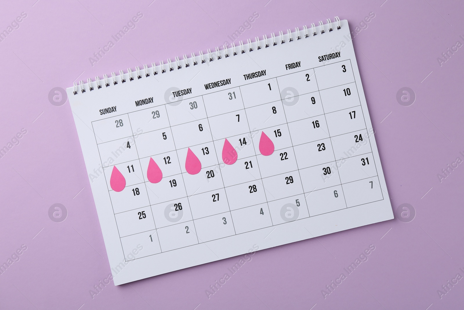 Photo of Menstruation. Calendar with marked dates on violet background, top view