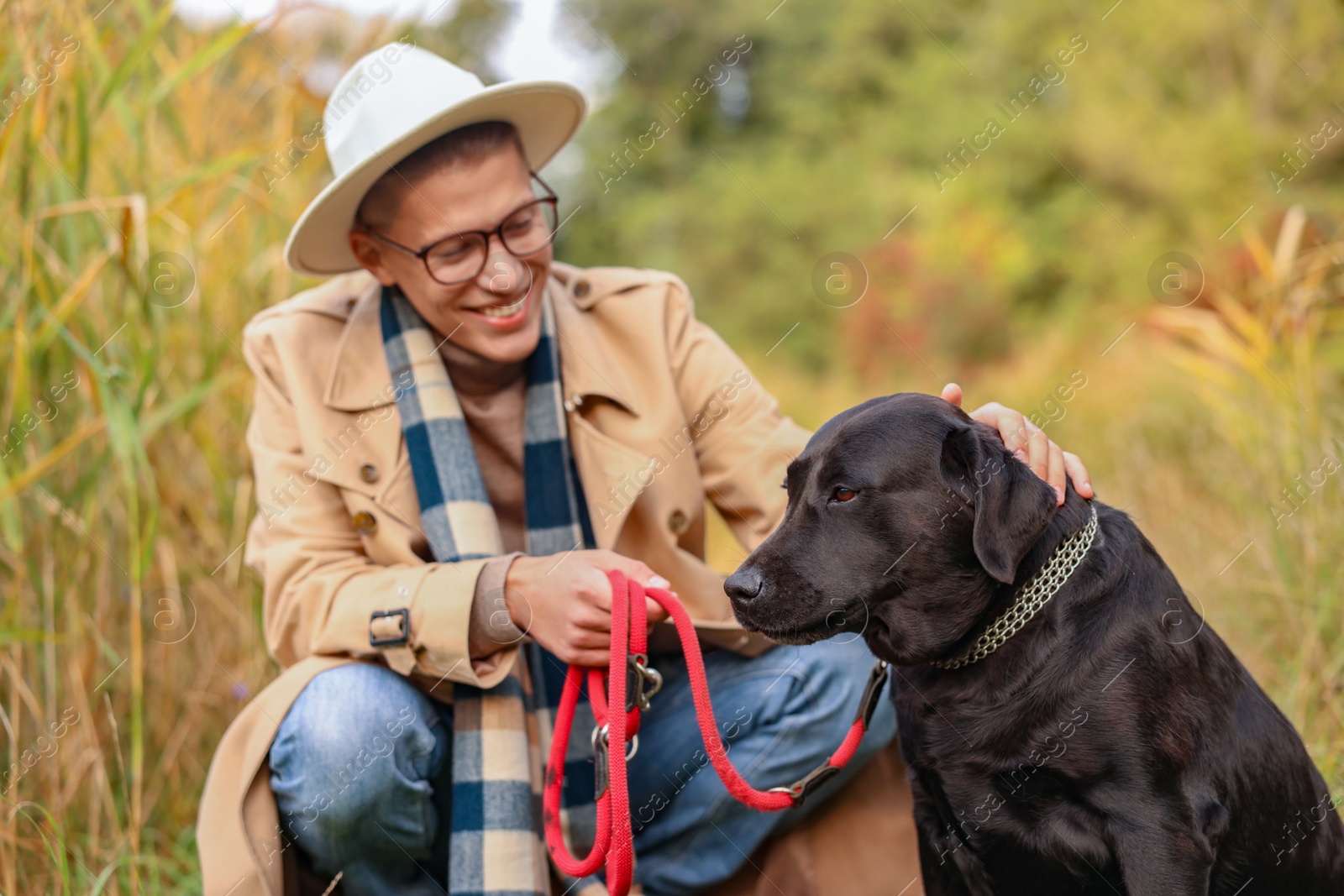 Photo of Smiling man stroking cute dog outdoors on autumn day