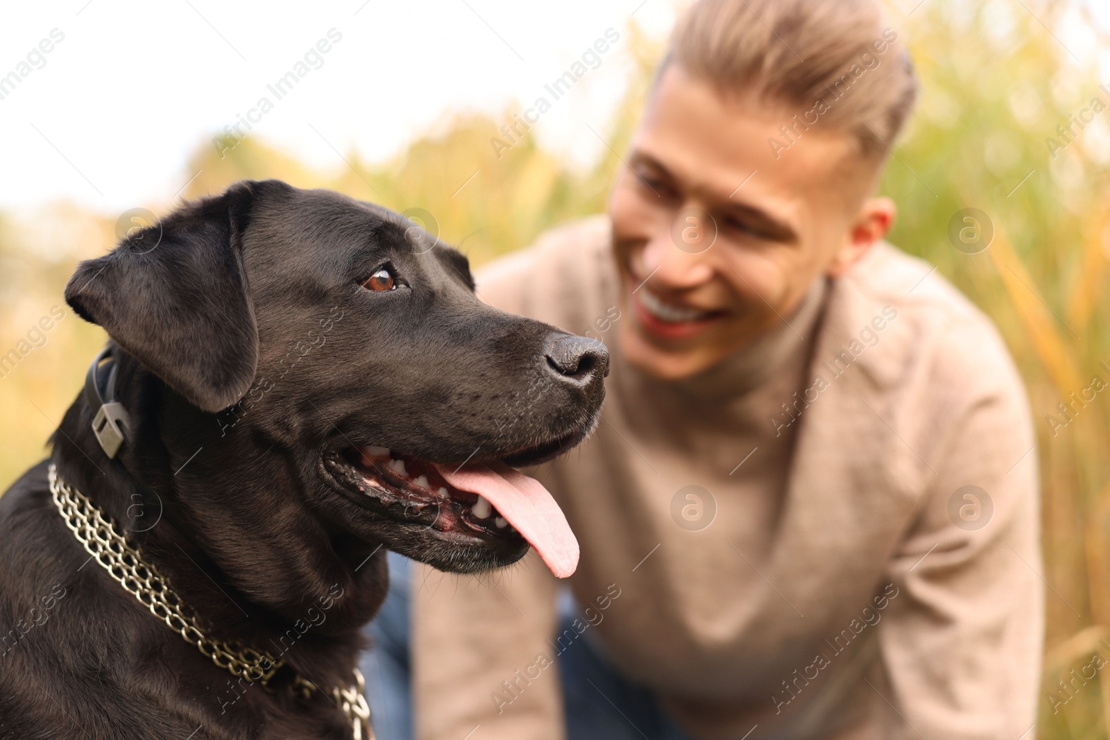 Photo of Portrait of cute dog with smiling owner outdoors, selective focus