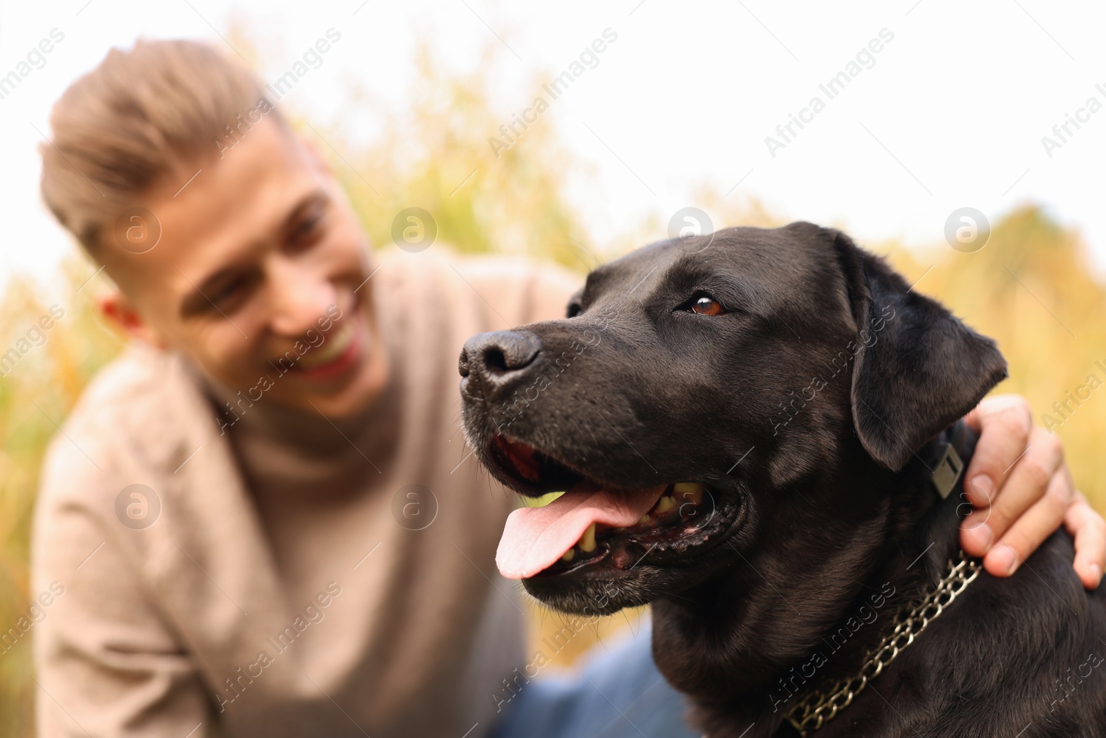 Photo of Portrait of cute dog with smiling owner outdoors, selective focus