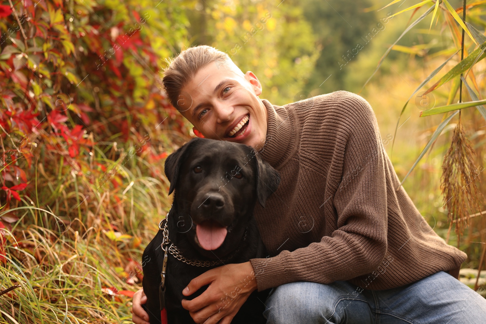 Photo of Smiling man with cute dog outdoors on autumn day. Space for text