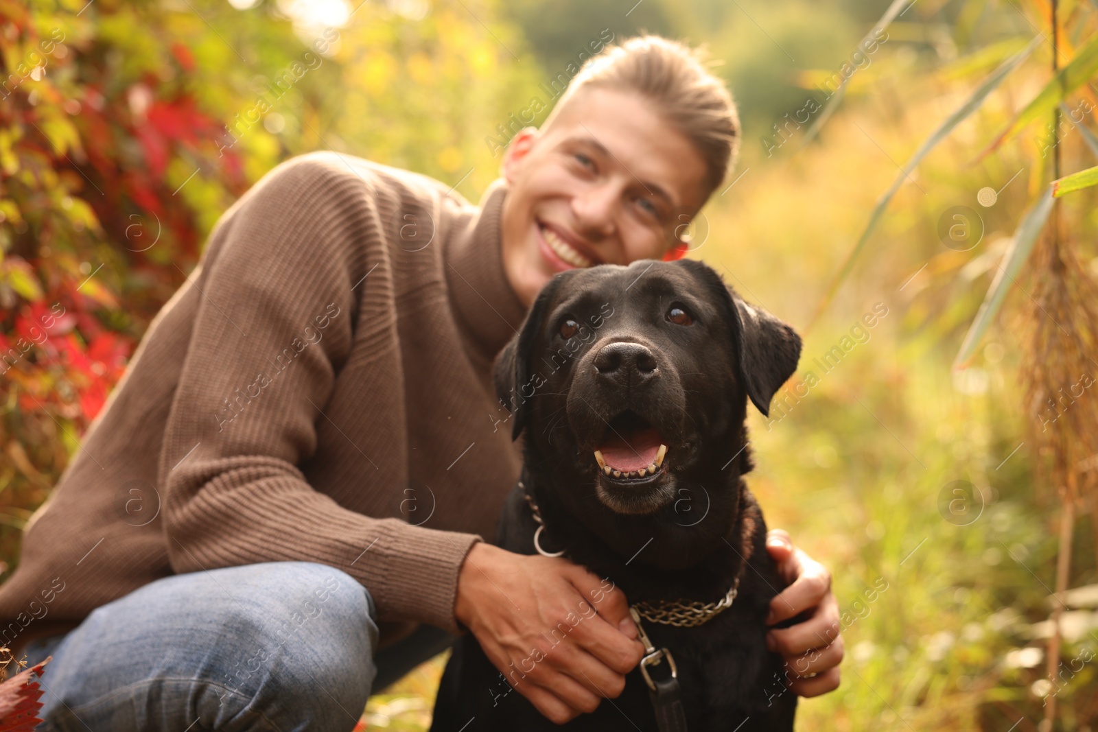 Photo of Portrait of cute dog with smiling owner outdoors, selective focus