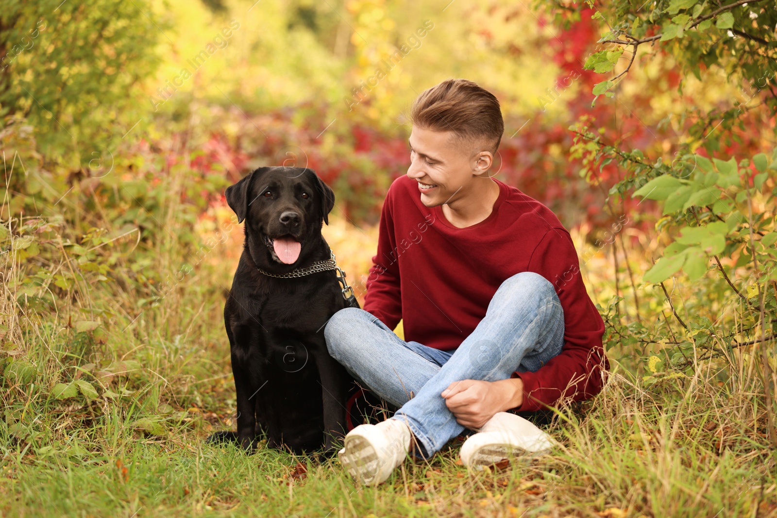 Photo of Smiling man with cute dog outdoors on autumn day