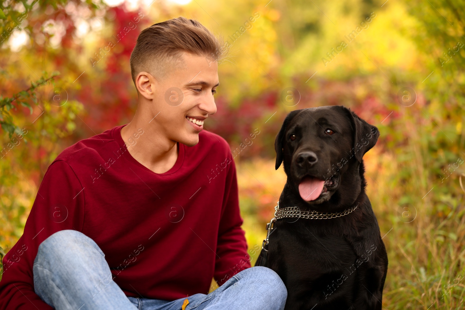 Photo of Smiling man with cute dog outdoors on autumn day