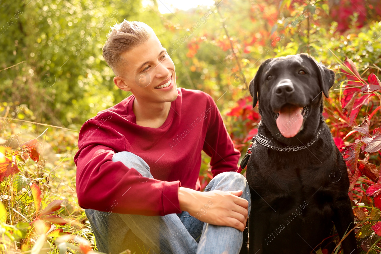 Photo of Smiling man with cute dog outdoors on autumn day