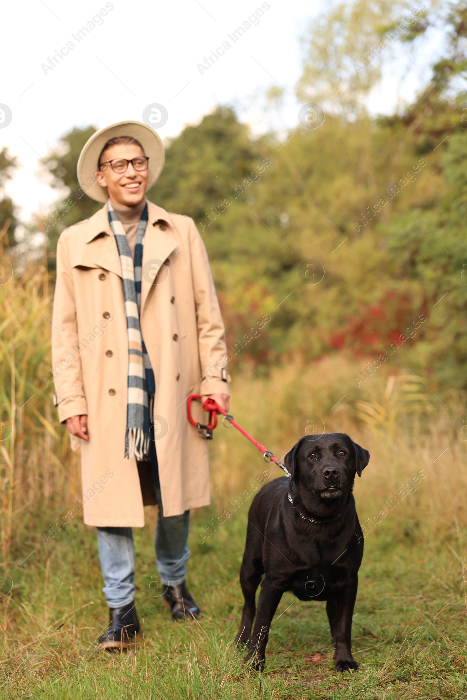 Photo of Smiling man walking with cute dog outdoors on autumn day